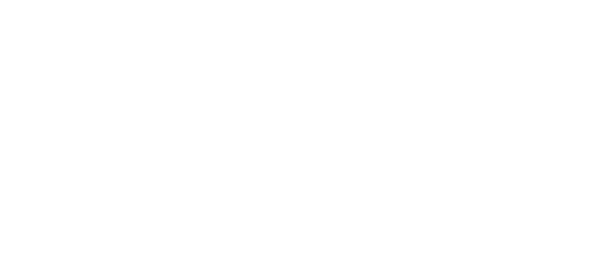 Partner 13 Logo