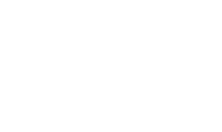 Partner 14 Logo