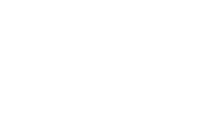 Partner 16 Logo