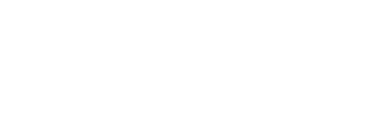 Partner 20 Logo