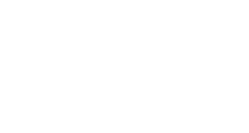 Partner 21 Logo