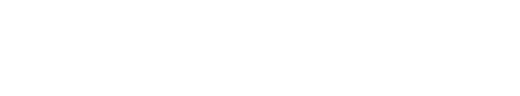 Partner 22 Logo