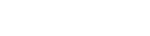 Partner 23 Logo
