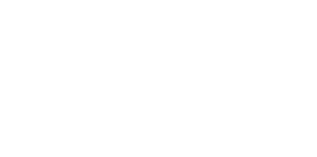 Partner 26 Logo
