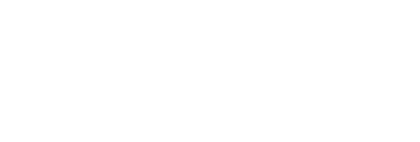 Partner 31 Logo