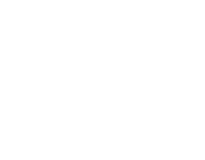 Partner 39 Logo