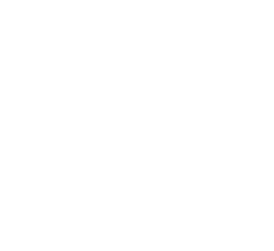 Partner 44 Logo