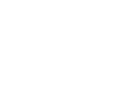 Partner 46 Logo