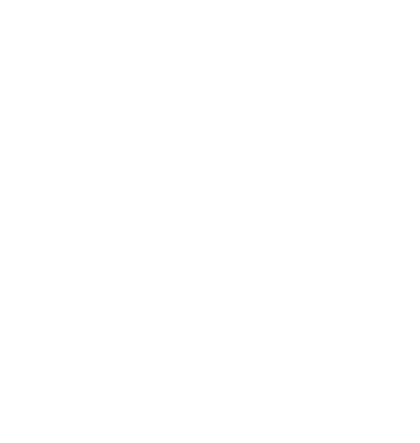 Partner 49 Logo