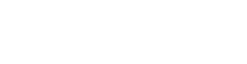 Partner 5 Logo