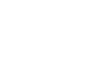 Partner 50 Logo