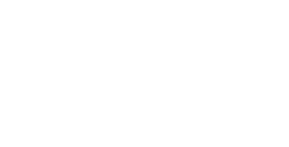 Partner 51 Logo