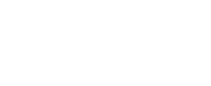 Partner 52 Logo